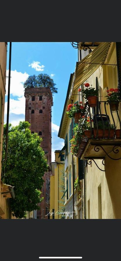 Hotel Casa Luba Lucca Exteriér fotografie